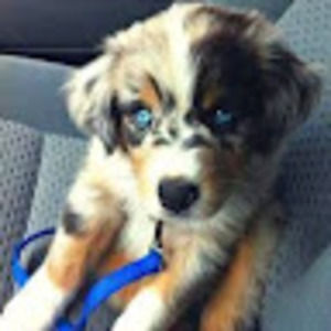 Meet your Posher, Bethany